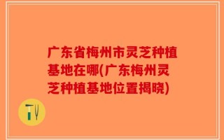 广东省梅州市灵芝种植基地在哪(广东梅州灵芝种植基地位置揭晓)
