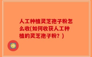 人工种植灵芝孢子粉怎么收(如何收获人工种植的灵芝孢子粉？)