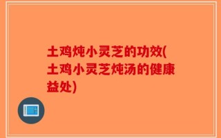 土鸡炖小灵芝的功效(土鸡小灵芝炖汤的健康益处)