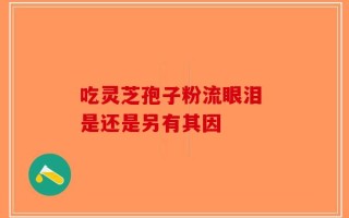 吃灵芝孢子粉流眼泪 是还是另有其因