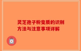 灵芝孢子粉变质的识别方法与注意事项详解