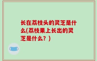 长在荔枝头的灵芝是什么(荔枝果上长出的灵芝是什么？)