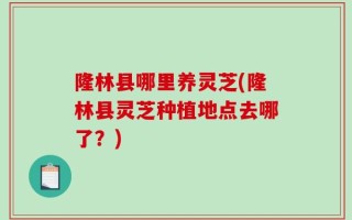 隆林县哪里养灵芝(隆林县灵芝种植地点去哪了？)