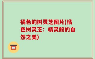 橘色的树灵芝图片(橘色树灵芝：精灵般的自然之美)