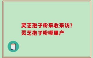 灵芝孢子粉采收采访？灵芝孢子粉哪里产