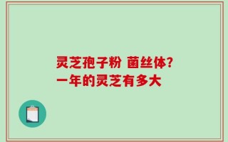 灵芝孢子粉 菌丝体？一年的灵芝有多大