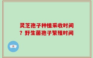 灵芝孢子种植采收时间？野生菌孢子繁殖时间