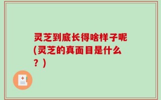 灵芝到底长得啥样子呢(灵芝的真面目是什么？)