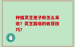 种植灵芝孢子粉怎么采收？灵芝栽培的收获技巧？