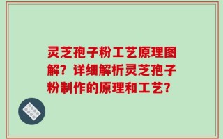 灵芝孢子粉工艺原理图解？详细解析灵芝孢子粉制作的原理和工艺？