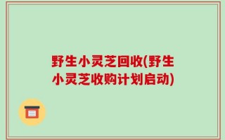 野生小灵芝回收(野生小灵芝收购计划启动)