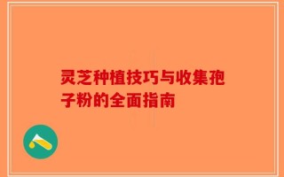 灵芝种植技巧与收集孢子粉的全面指南