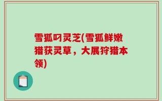 雪狐叼灵芝(雪狐鲜嫩猎获灵草，大展狩猎本领)