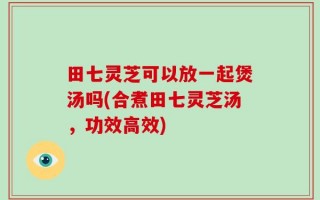 田七灵芝可以放一起煲汤吗(合煮田七灵芝汤，功效高效)