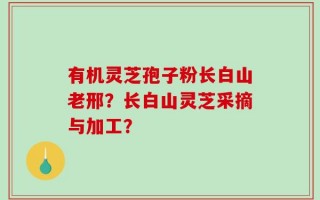 有机灵芝孢子粉长白山老邢？长白山灵芝采摘与加工？