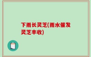下雨长灵芝(雨水催发灵芝丰收)