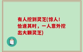 有人挖到灵芝(惊人！恰逢其时，一人意外挖出大颗灵芝)