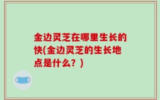 金边灵芝在哪里生长的快(金边灵芝的生长地点是什么？)