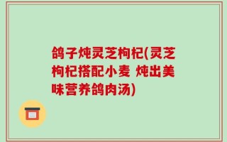鸽子炖灵芝枸杞(灵芝枸杞搭配小麦 炖出美味营养鸽肉汤)