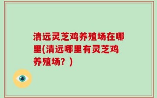 清远灵芝鸡养殖场在哪里(清远哪里有灵芝鸡养殖场？)