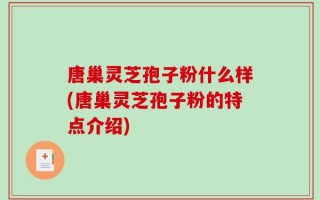 唐巢灵芝孢子粉什么样(唐巢灵芝孢子粉的特点介绍)