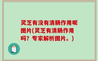 灵芝有没有清肠作用呢图片(灵芝有清肠作用吗？专家解析图片。)