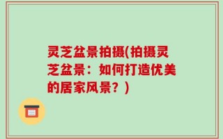 灵芝盆景拍摄(拍摄灵芝盆景：如何打造优美的居家风景？)