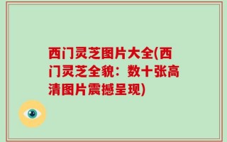 西门灵芝图片大全(西门灵芝全貌：数十张高清图片震撼呈现)