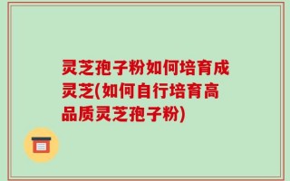 灵芝孢子粉如何培育成灵芝(如何自行培育高品质灵芝孢子粉)