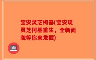 宝安灵芝柯基(宝安现灵芝柯基重生，全新面貌等你来发掘)