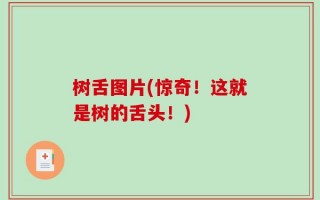 树舌图片(惊奇！这就是树的舌头！)