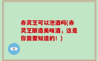 赤灵芝可以泡酒吗(赤灵芝酿造美味酒，这是你需要知道的！)