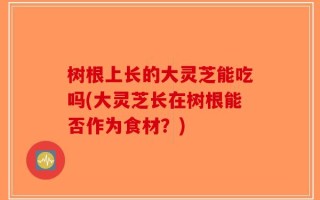 树根上长的大灵芝能吃吗(大灵芝长在树根能否作为食材？)
