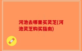 河池去哪里买灵芝(河池灵芝购买指南)