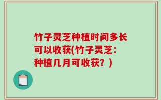 竹子灵芝种植时间多长可以收获(竹子灵芝：种植几月可收获？)