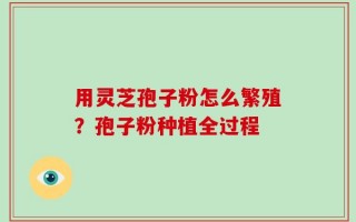 用灵芝孢子粉怎么繁殖？孢子粉种植全过程