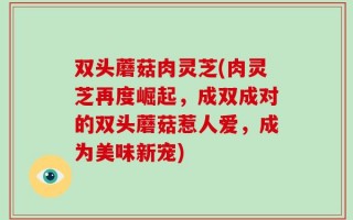 双头蘑菇肉灵芝(肉灵芝再度崛起，成双成对的双头蘑菇惹人爱，成为美味新宠)