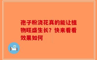 孢子粉浇花真的能让植物旺盛生长？快来看看效果如何