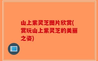 山上紫灵芝图片欣赏(赏玩山上紫灵芝的美丽之姿)