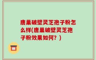唐巢破壁灵芝孢子粉怎么样(唐巢破壁灵芝孢子粉效果如何？)