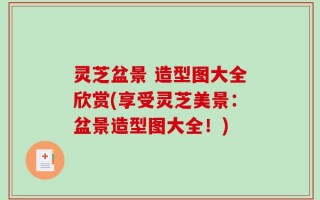 灵芝盆景 造型图大全欣赏(享受灵芝美景：盆景造型图大全！)