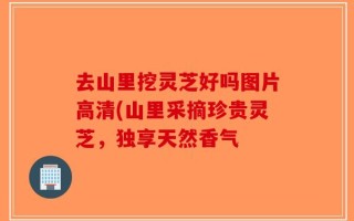 去山里挖灵芝好吗图片高清(山里采摘珍贵灵芝，独享天然香气