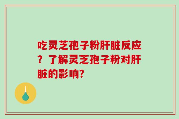 吃灵芝孢子粉肝脏反应？了解灵芝孢子粉对肝脏的影响？-第1张图片-破壁灵芝孢子粉研究指南