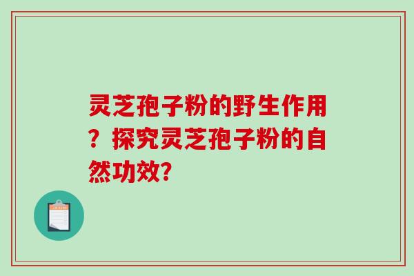 灵芝孢子粉的野生作用？探究灵芝孢子粉的自然功效？-第1张图片-破壁灵芝孢子粉研究指南