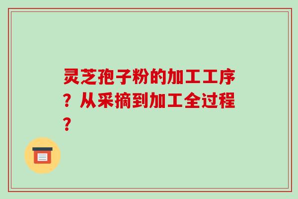 灵芝孢子粉的加工工序？从采摘到加工全过程？-第1张图片-破壁灵芝孢子粉研究指南