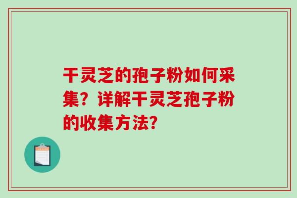 干灵芝的孢子粉如何采集？详解干灵芝孢子粉的收集方法？-第1张图片-破壁灵芝孢子粉研究指南