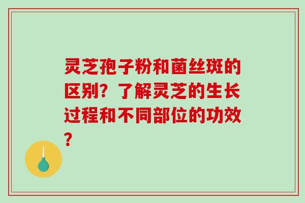 灵芝孢子粉和菌丝斑的区别？了解灵芝的生长过程和不同部位的功效？-第1张图片-破壁灵芝孢子粉研究指南