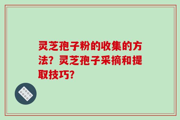 灵芝孢子粉的收集的方法？灵芝孢子采摘和提取技巧？-第1张图片-破壁灵芝孢子粉研究指南