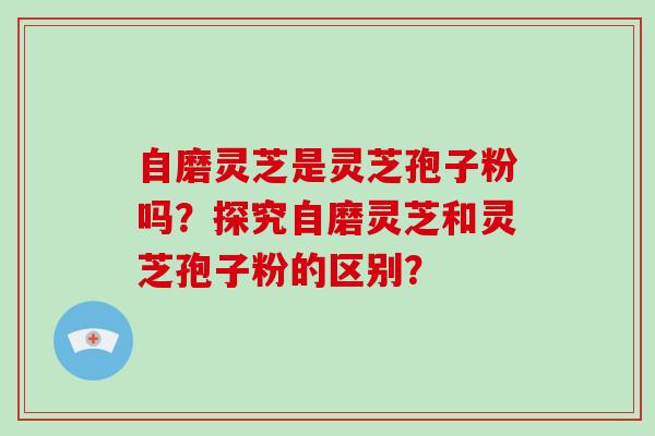 自磨灵芝是灵芝孢子粉吗？探究自磨灵芝和灵芝孢子粉的区别？-第1张图片-破壁灵芝孢子粉研究指南