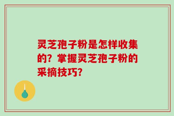 灵芝孢子粉是怎样收集的？掌握灵芝孢子粉的采摘技巧？-第1张图片-破壁灵芝孢子粉研究指南